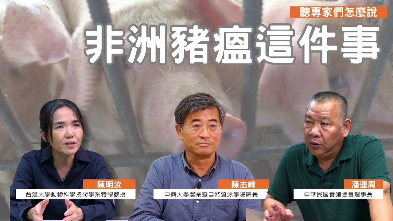 非洲豬瘟的警訊：防疫要注意哪些重點？疫調的重要性，對台灣養豬產業可能帶來哪些衝擊？｜養豬協會理事長潘連周、台大動科系特聘教授陳明汝、中興大學農資學院院長陳志峰｜公視我們的島 【聽專家怎麼說】