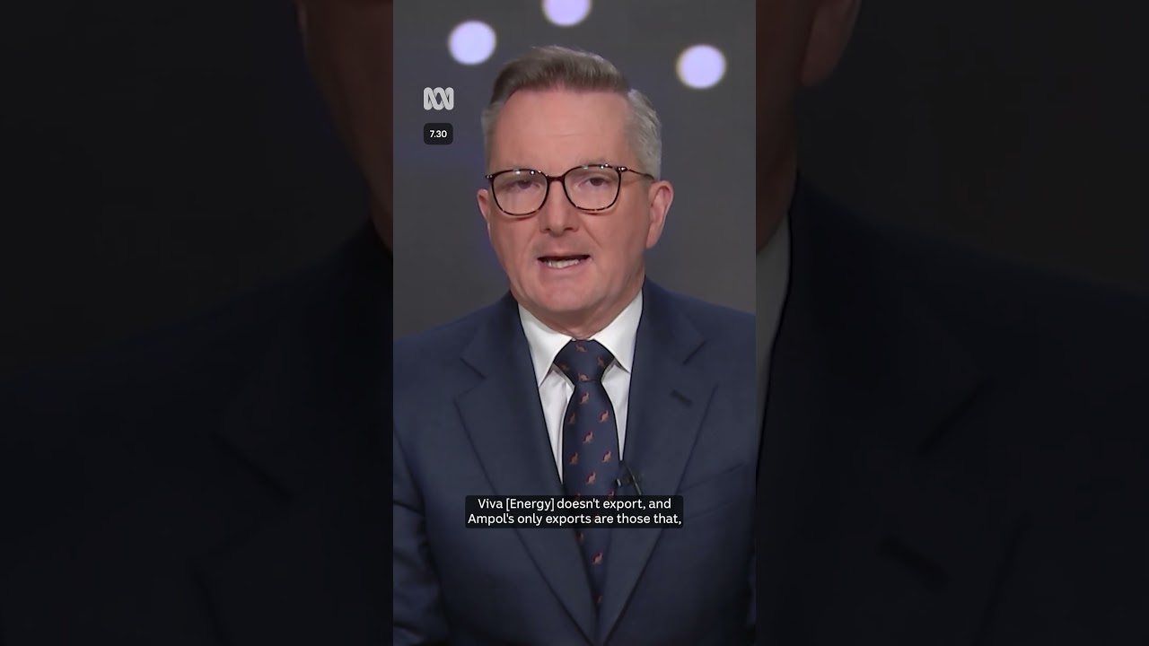 Chris Bowen attacks Opposition Leader Angus Taylor's Aussie fuel claim | 7.30