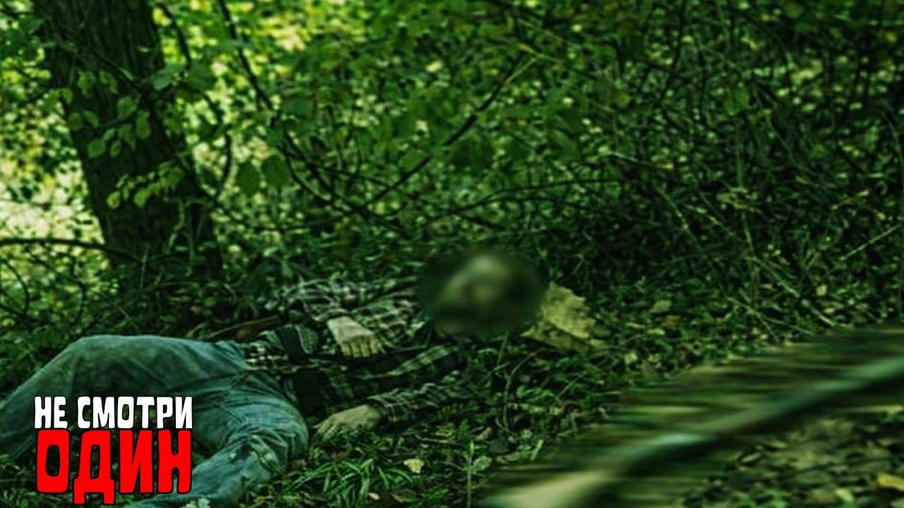 4  САМЫХ ТРЕВОЖНЫХ ВСТРЕЧ ВО ВРЕМЯ ОХОТЫ