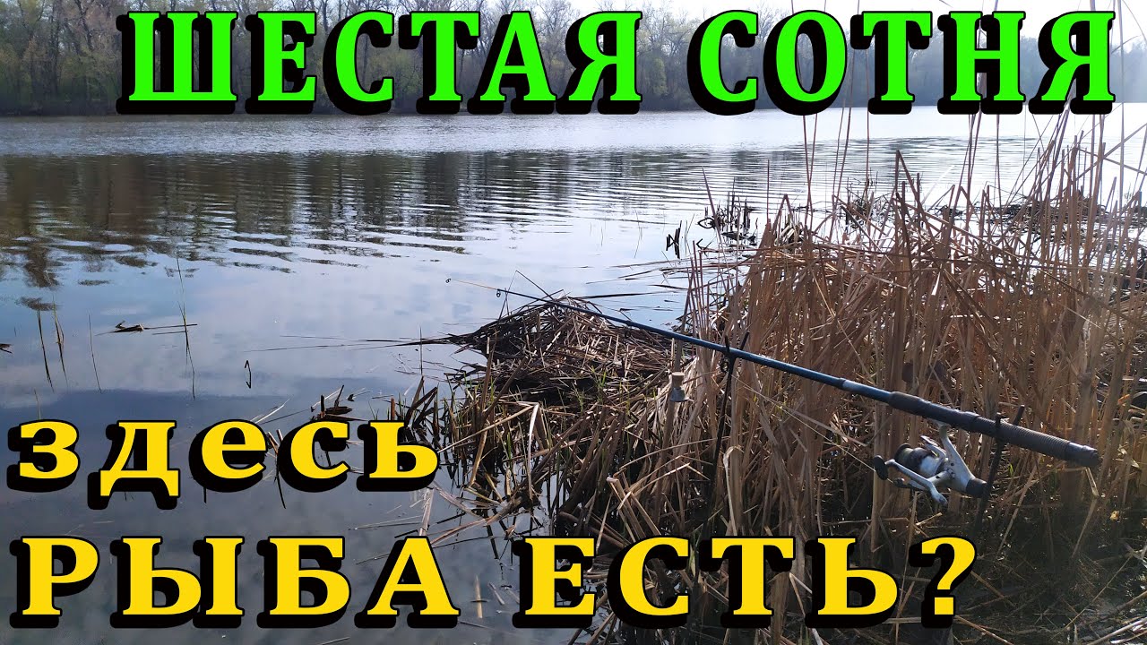 Шестая сотня в Карнауховке - здесь рыба есть?