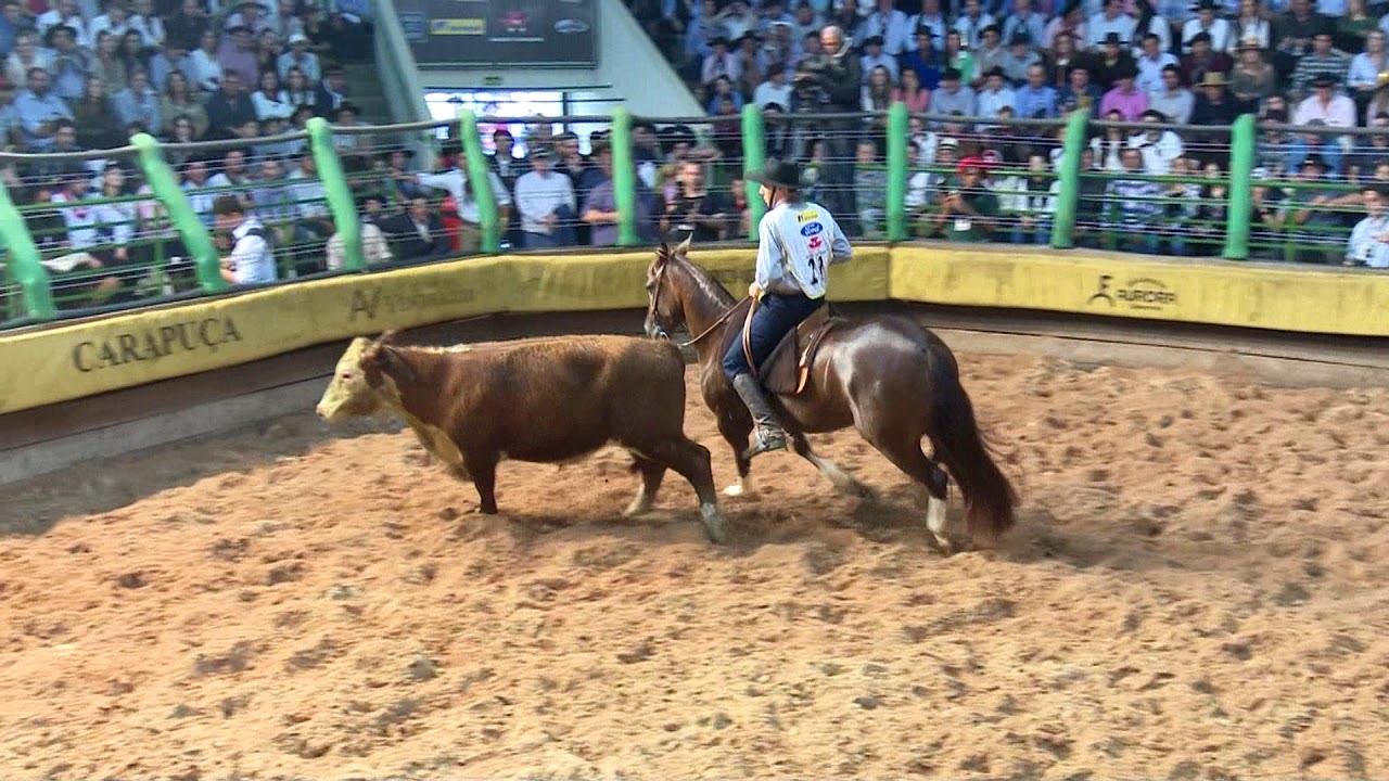 AM Gaita - Melhor Mang. II do Freio de Ouro 2017