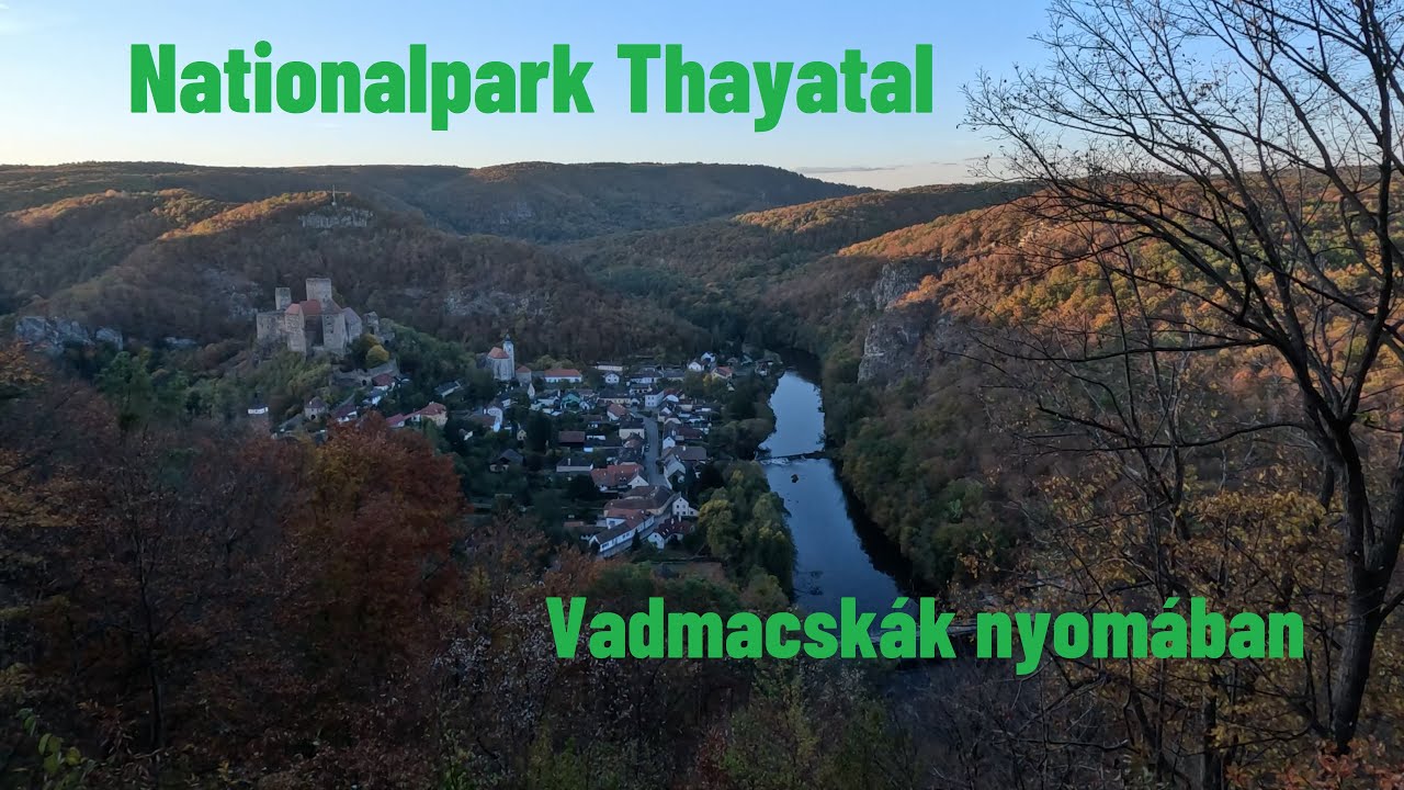 Nationalpark Thayatal / Hardegg / Gyalogtúra 2023. október közepén