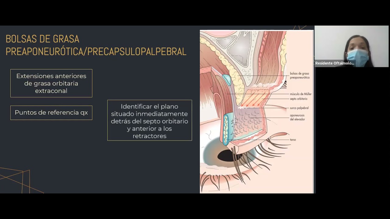 Anatom&iacute;a de p&aacute;rpados Dra. Nathalie M&aacute;rquez