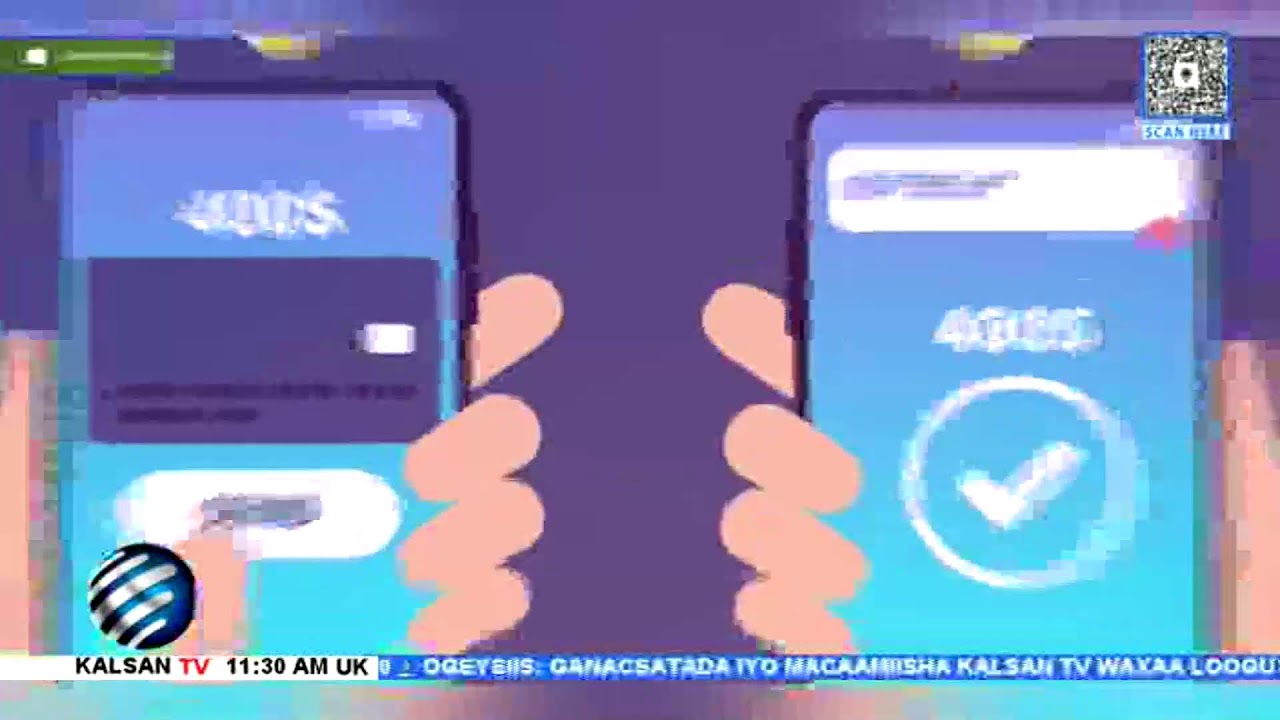 Wararka Telefishinka Kalsan Tv By: Mascuud Axmed Cusmaan 24-01-2026.