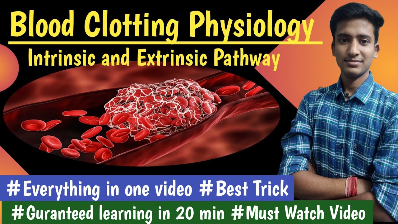 Intrinsic and Extrinsic Pathway || Blood Coagulation Physio ||Lectures||MBBS ||hindi|| Ashish