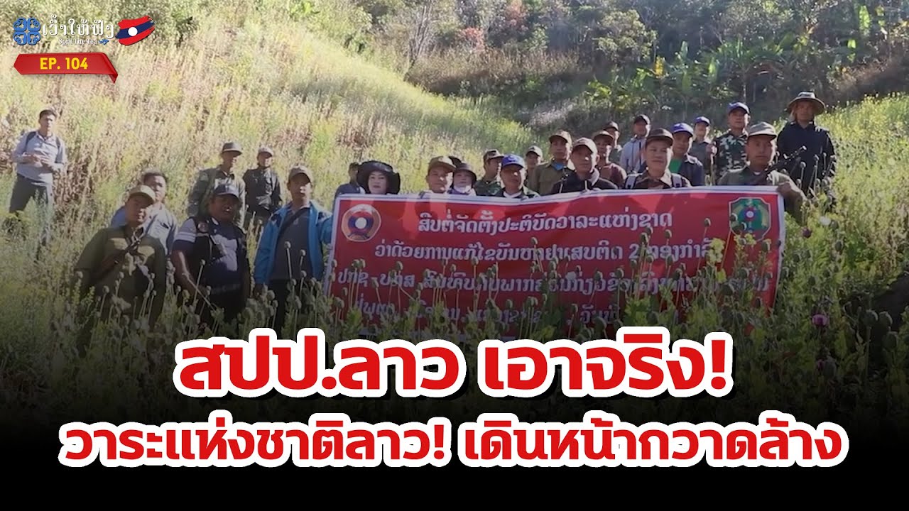 สปป.ลาว เอาจริง! บุกทลายไร่ฝิ่นกลางป่าเชียงขวาง | ข่าวประเทศลาว | ເວົ້າໃຫ້ຟັງ Spill The Tea. EP104
