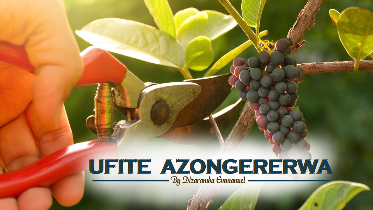 2. Nzaramba Emmanuel: Ufite Azongererwa