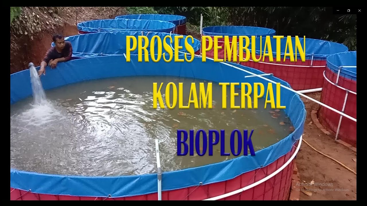 Tiru Master Kolam Bioflok  (Tahapan Membuat Kolam Bioflok)