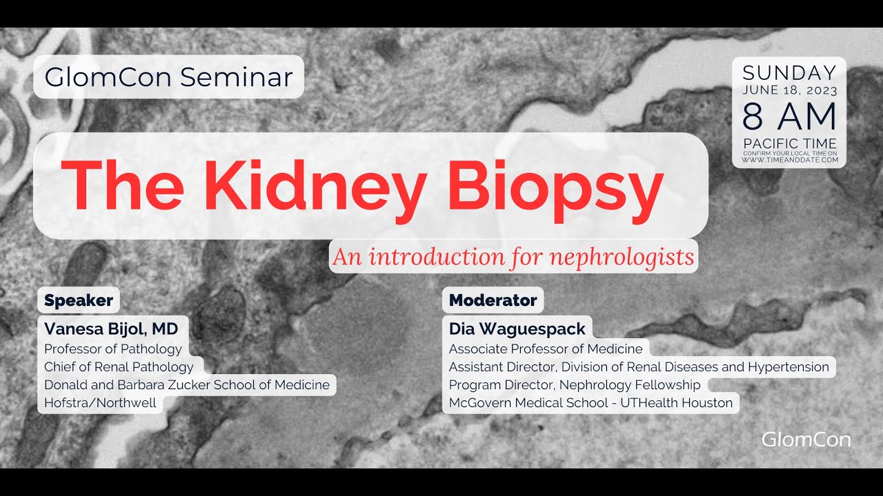 The Kidney Biopsy: An introduction for nephrologists