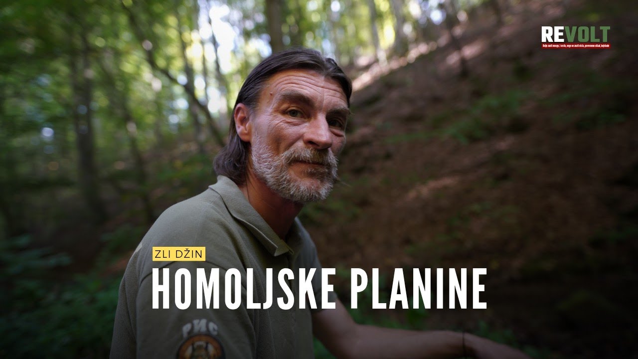Zli Džin - HOMOLJSKE PLANINE