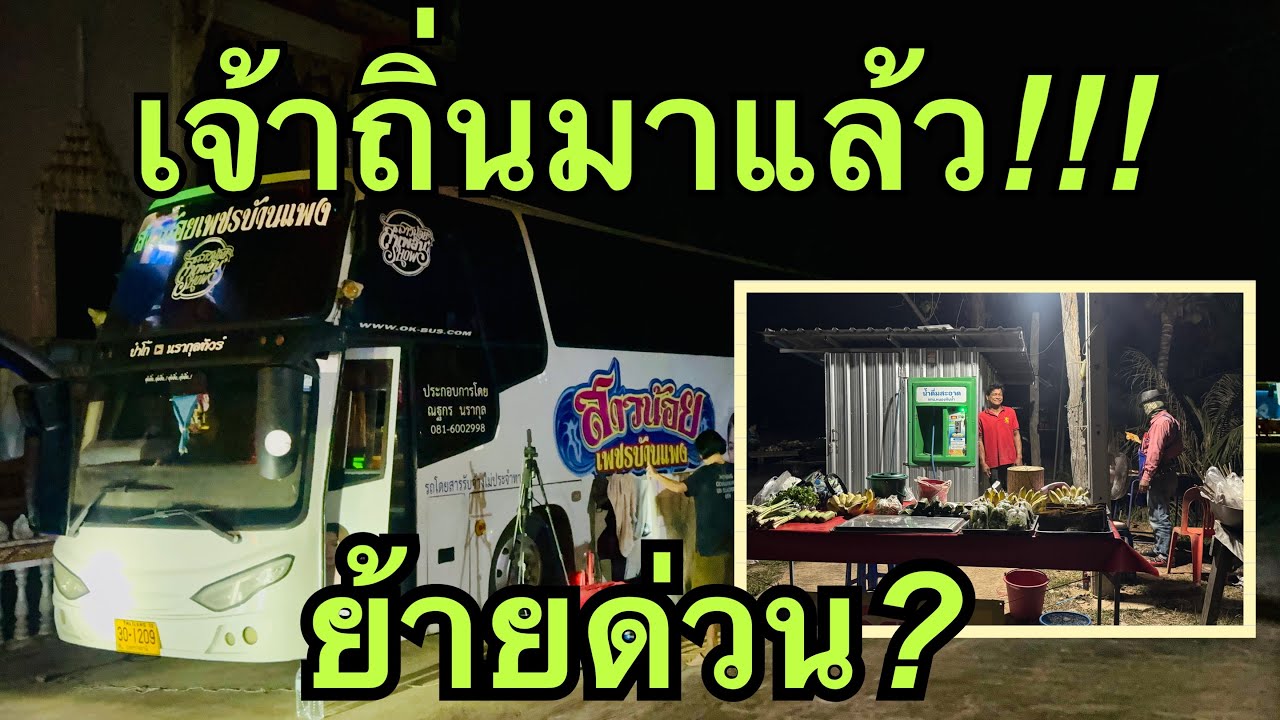 เจ้าถิ่นมาแล้ว❓ย้ายด่วน💥#สาวน้อยลำเพลินshow 