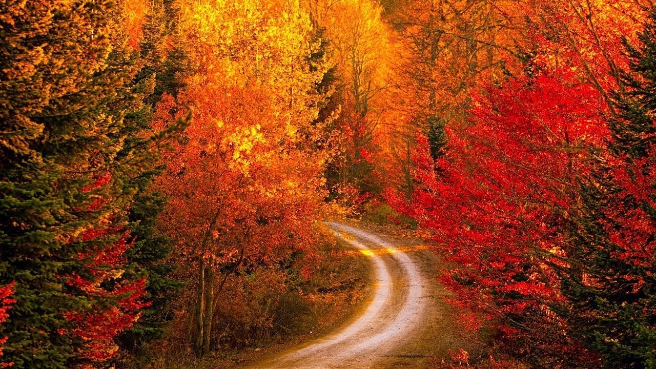 Instrumental Acoustic Indie/Folk Playlist, Chill Music 