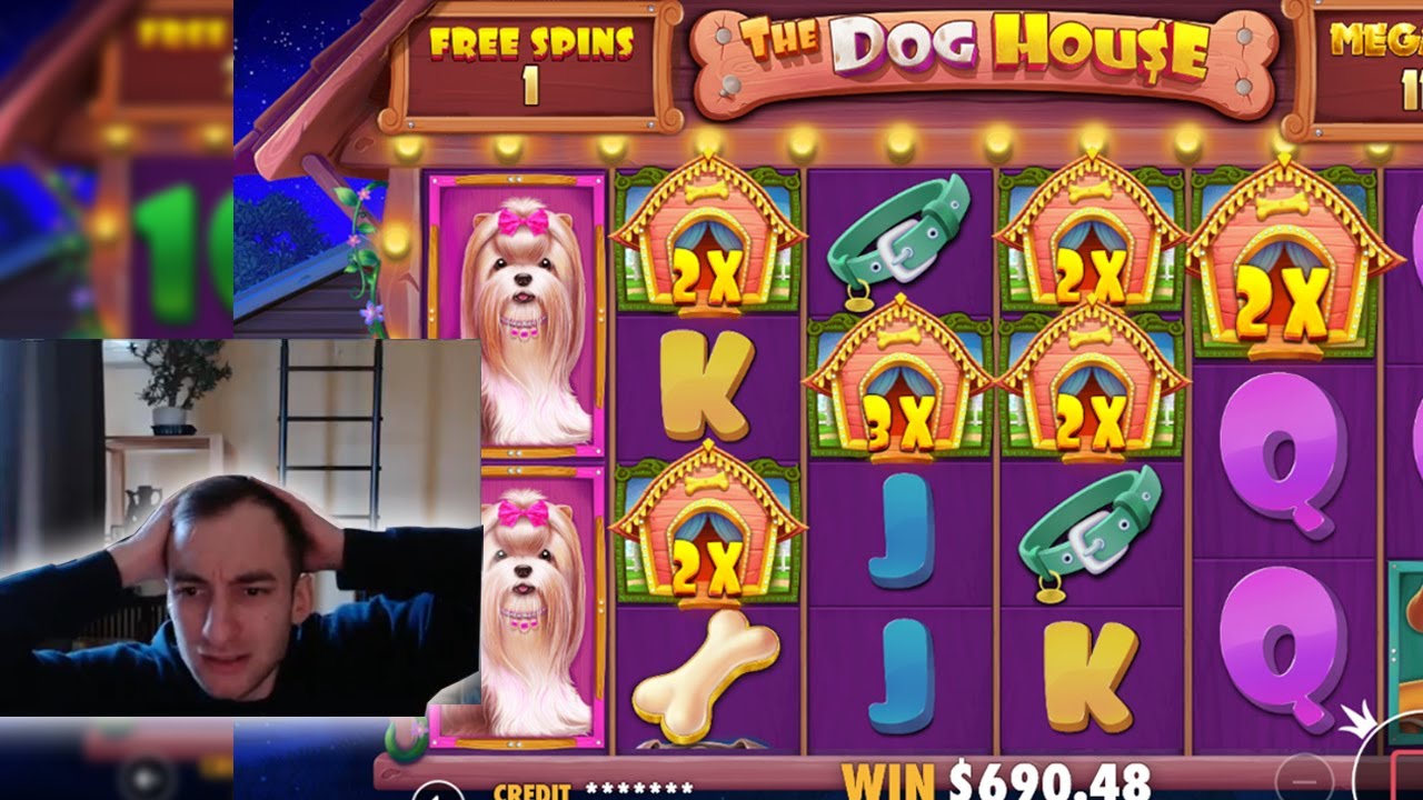 DOG HOUSE MEGAWAYS BEST BONUS EVER!!!! (2000X)