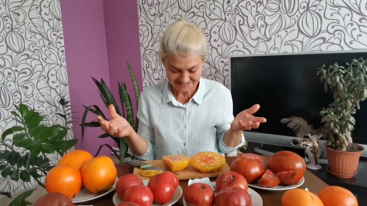 Томаты гномы. Сорт 