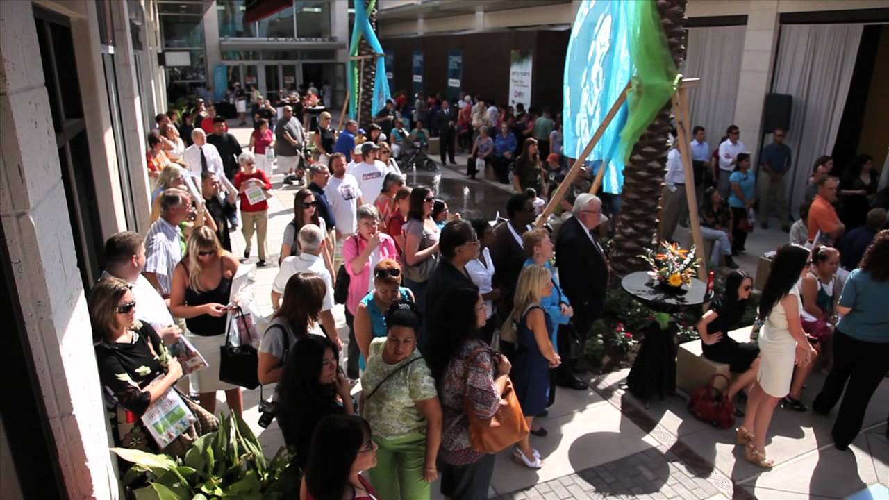 La Palmera Transformation