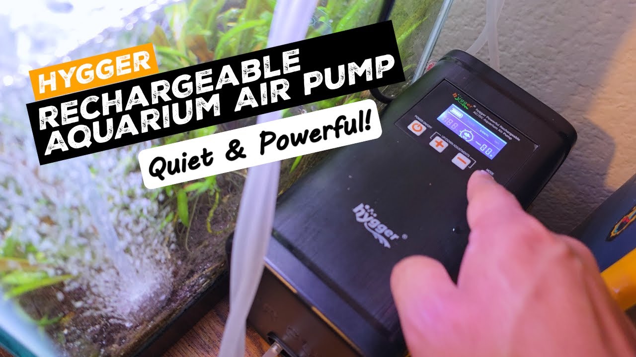 Hygger Dual‑Outlet Air Pump — Unboxing, Setup, and Test