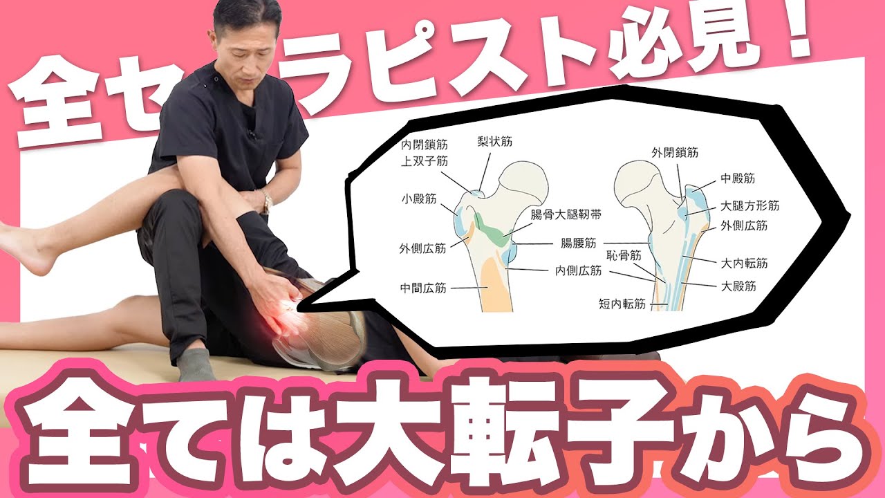 【実技】大転子を起点にした触診と滑走操作！