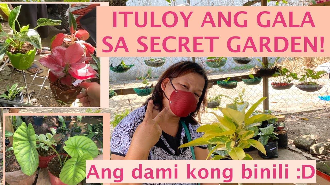(PART 2) SECRET GARDEN, MURANG HALAMAN! MGA RARE PLANTS!!! | Mommy Liberty