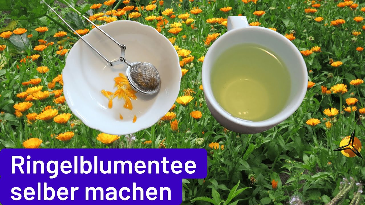Ringelblumentee selber machen