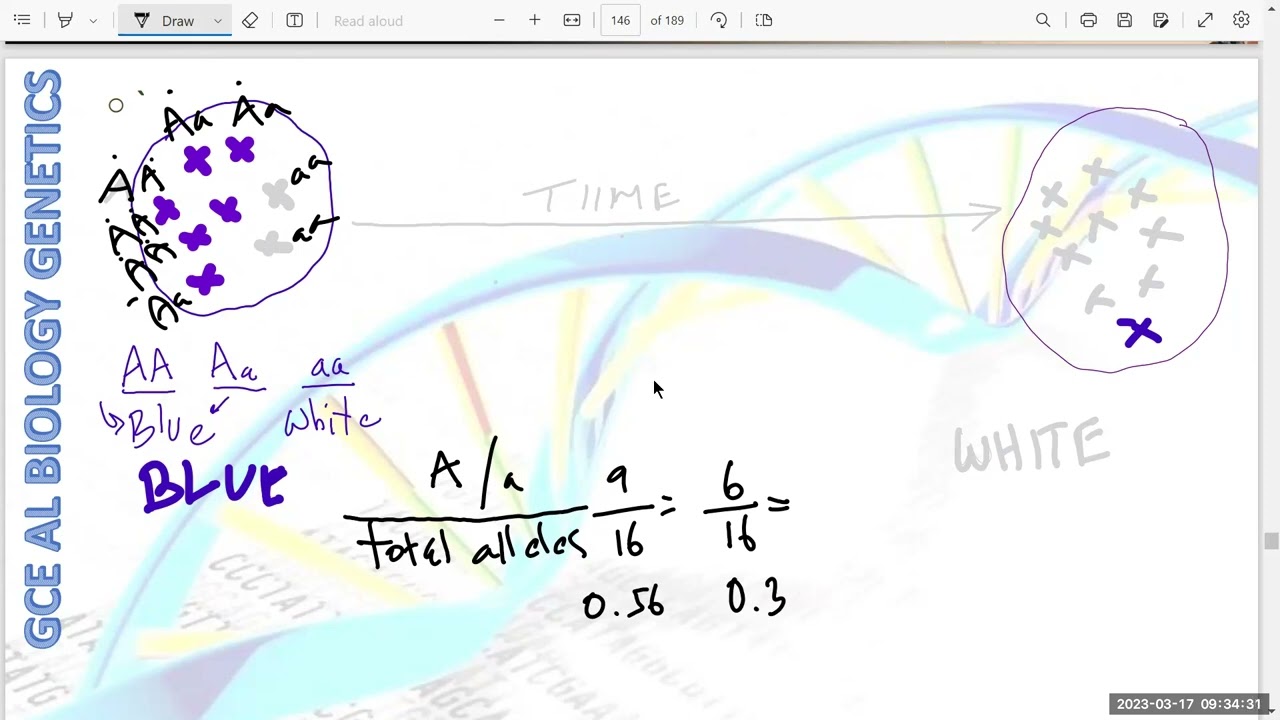 GCE AL BIOLOGY UNIT 6 GENETICS HARDY-WEINBURG PRINCIPAL 1