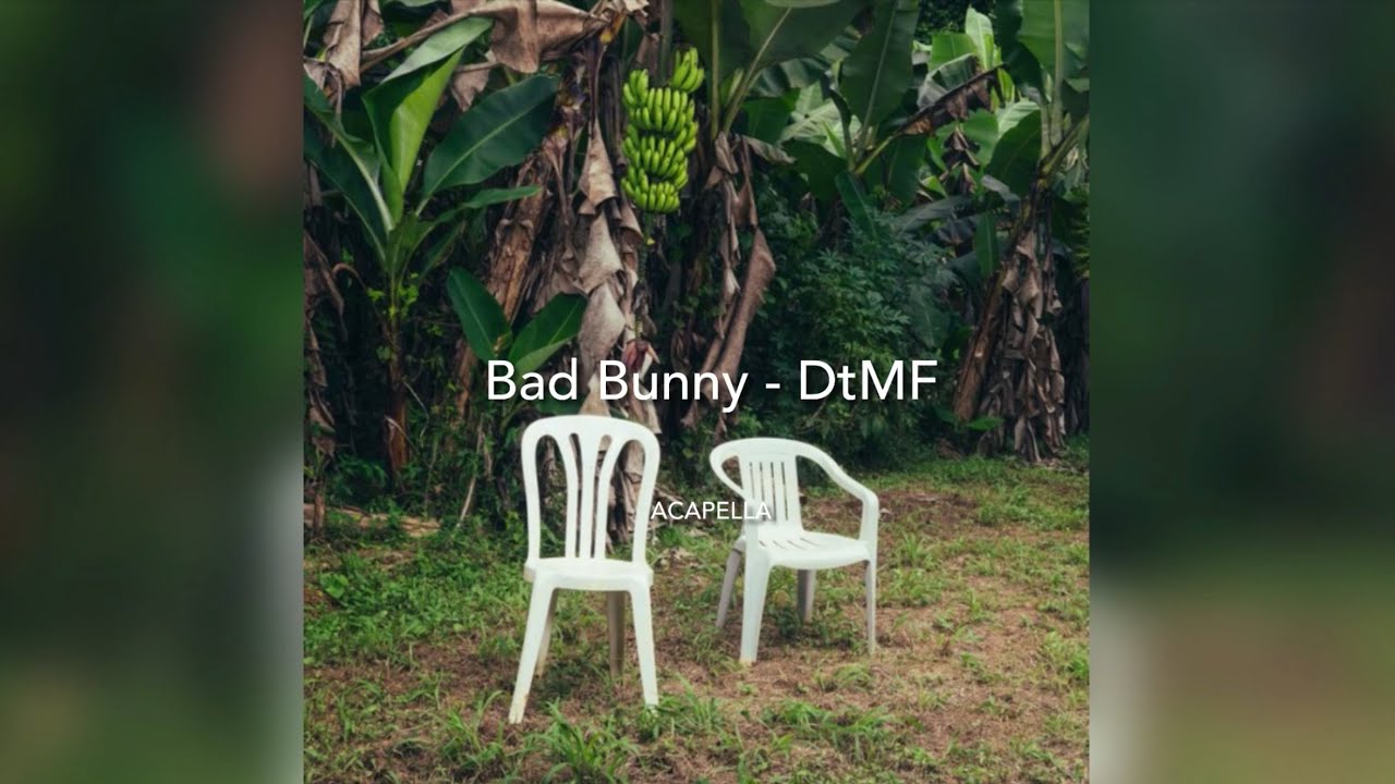 Bad Bunny - DtMF | Vocals Only | Acapella |