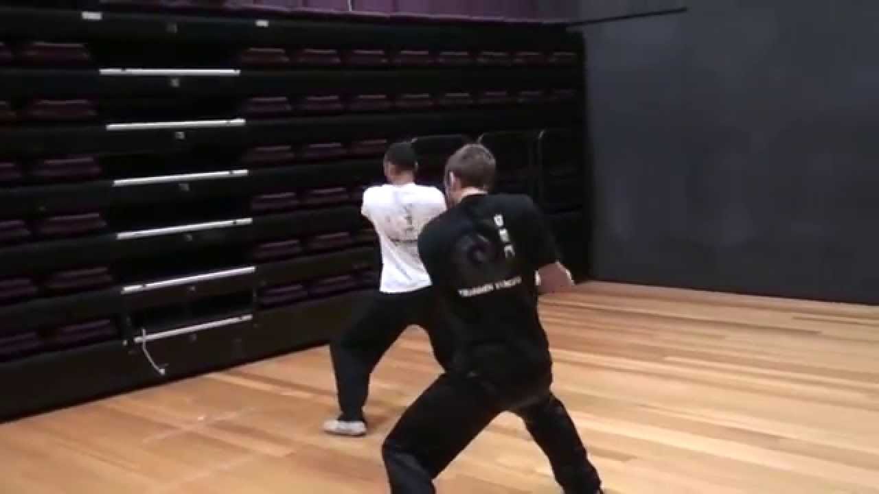 LIU HE TANG LANG DUAN CHUI (SHORT HAMMER FIST)
