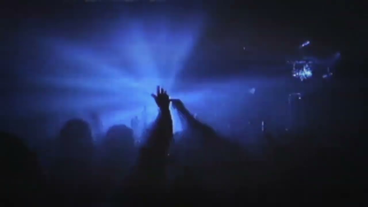 Kai Brandt - You are my venom 