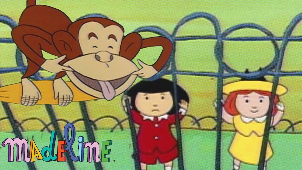 L'Anniversaire de Madeline au Zoo | Madeline Française | Épisodes Complets Pour Enfants