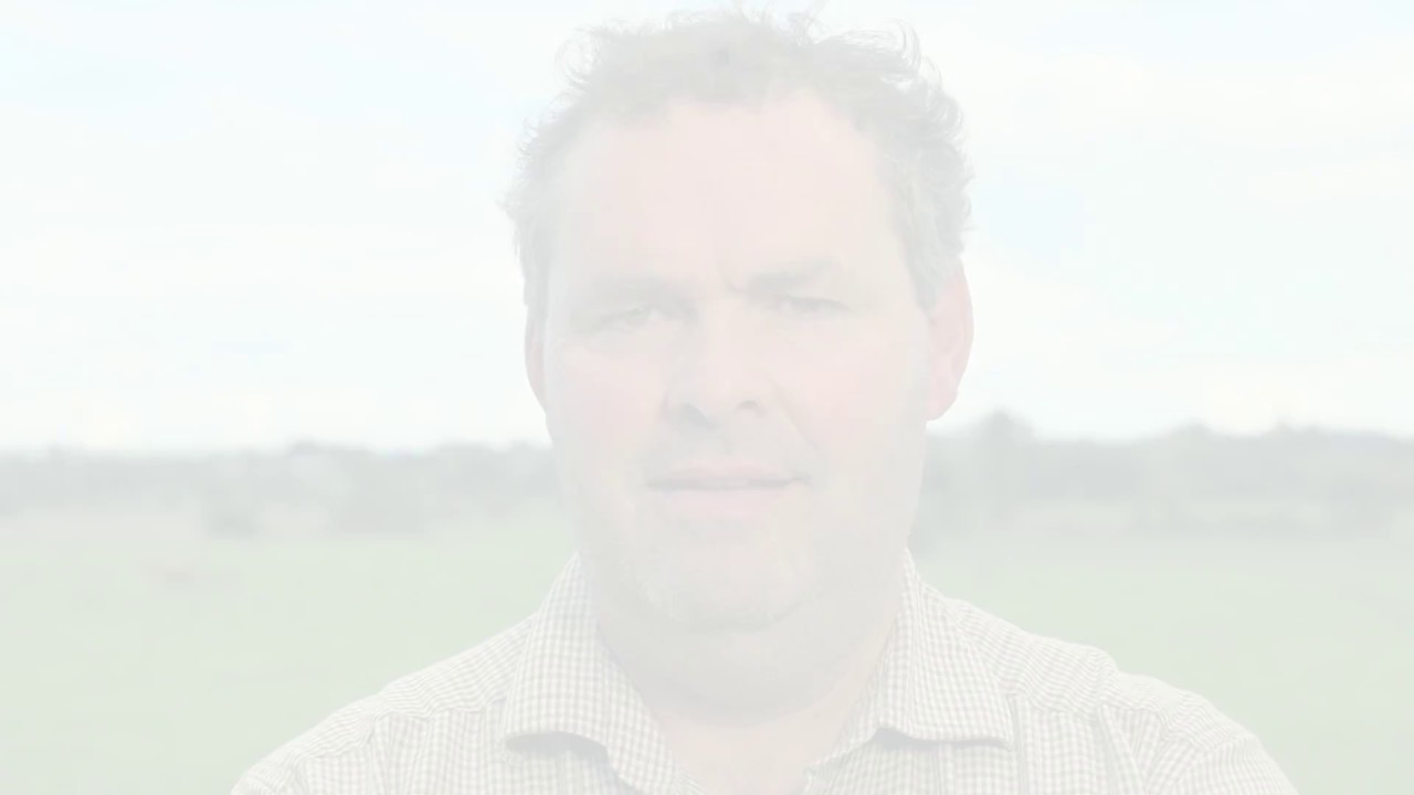 Suckler Farmer Sean Sherman on Moocall Heat