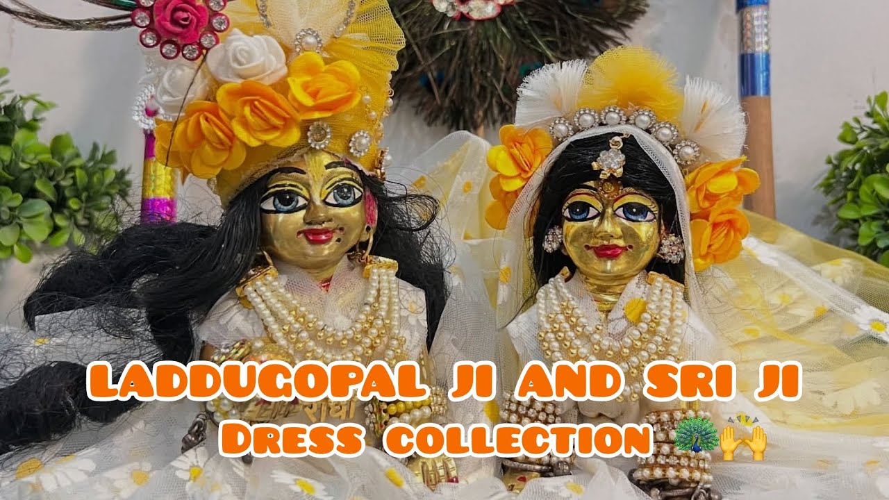 LADDUGOPALJI AND SRIJI HEAVY DRESS COLLECTION 🦚👗| Humarehari