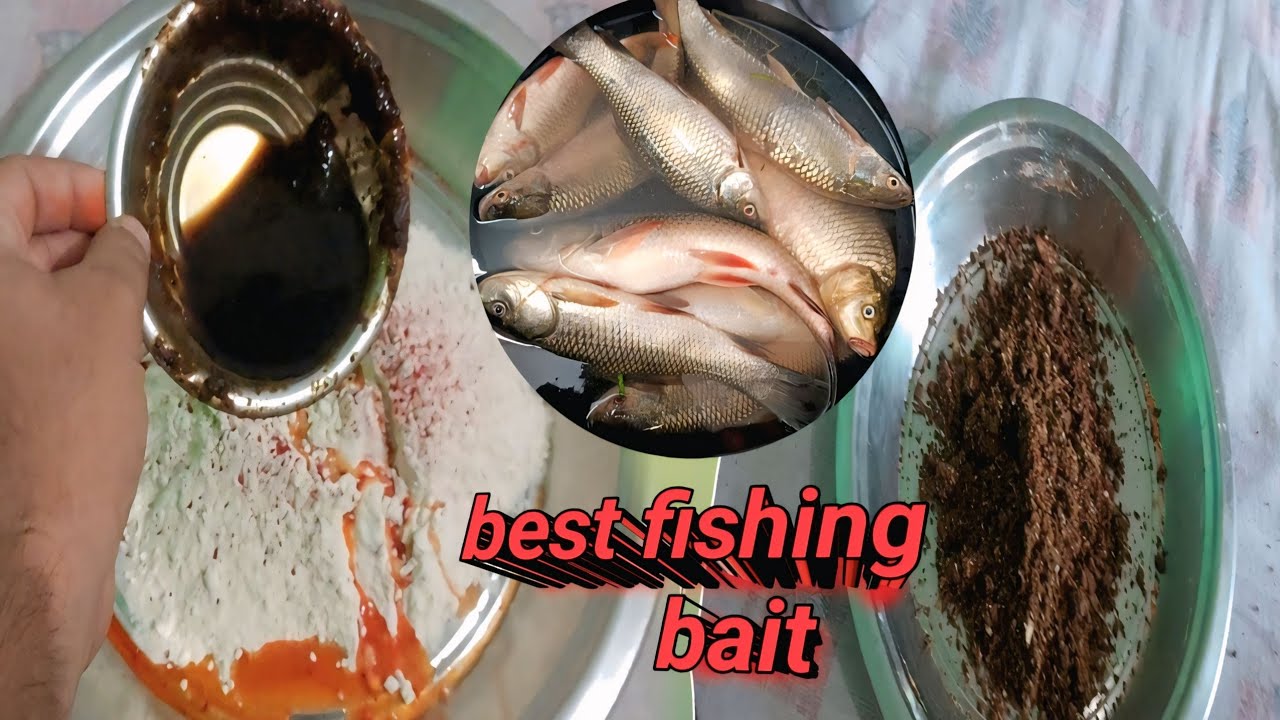 All type Fish bait and hunting 