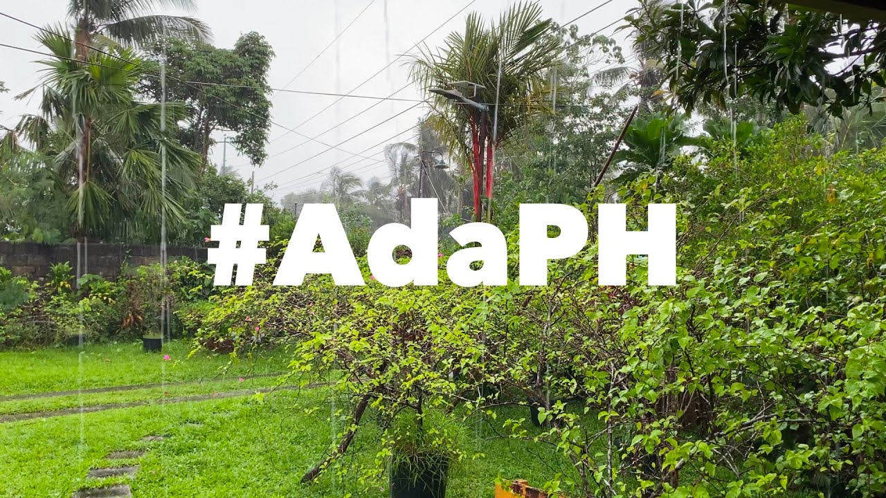 Typhoon Nokaen, Ada in the Philippines (rain ASMR)