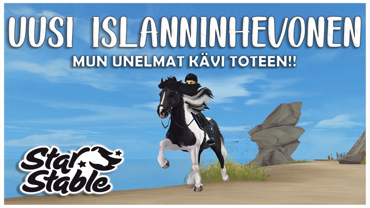 Uudet islanninhevoset | SSO Suomi