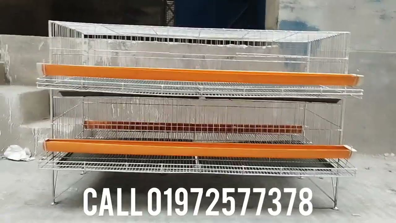 ১২০ পিছ ডিম পাড়ার কোয়েল পাখির খাঁচা। সারা বাংলাদেশ ডেলিভারি।