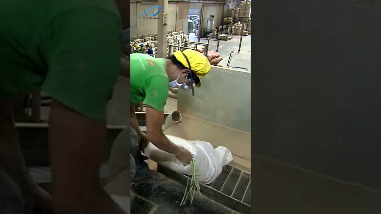 Proses Pembuatan Obat Nyamuk Bakar #shortvideo #shorts #obat