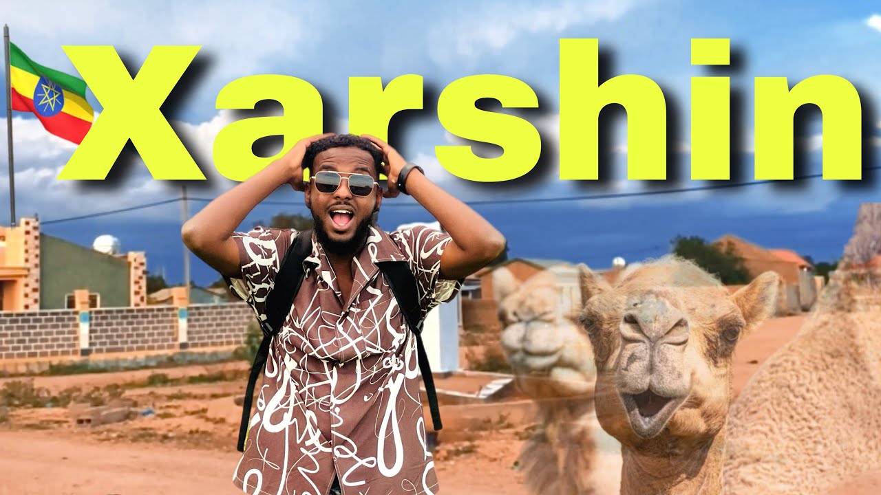 Taariikhda Xarshin Iyo Horumarka Cusub Ee Aan Hore Loo Arag! 🚀