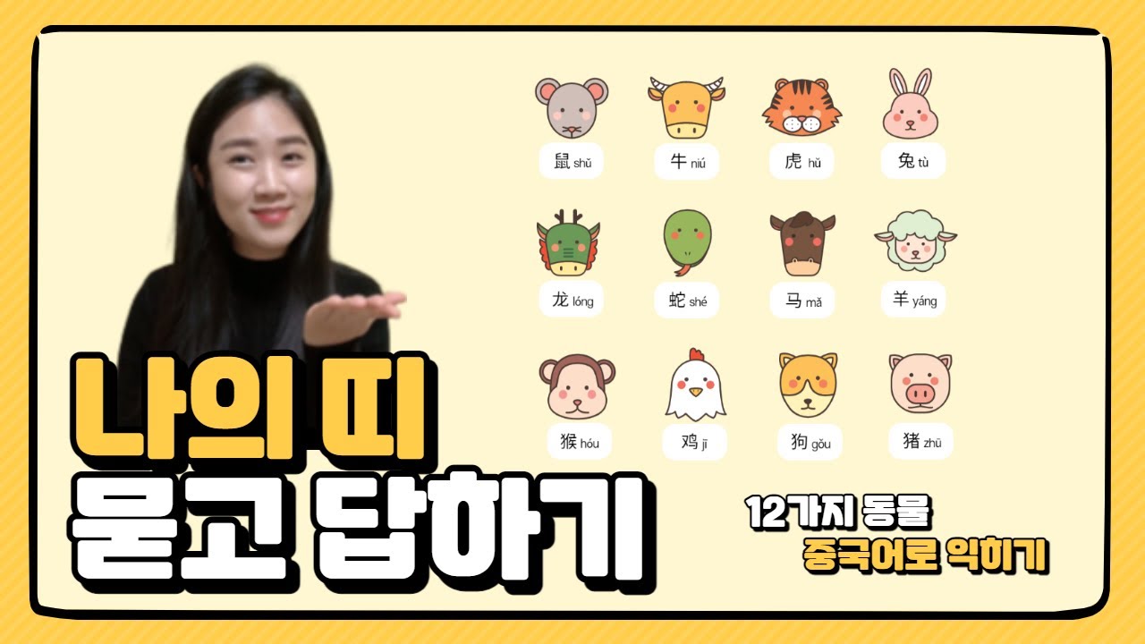[테마중국어 플래시카드] 나와 가족의 띠 묻고 답하기 - 십이지신 열 두 동물 중국어로 익혀요! 어린이중국어 我的属相🐀🐂🐅🐇🐉🐍🐎🐑🐒🐔🐓🐕🐖