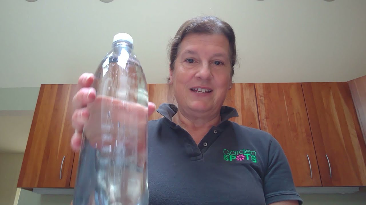 Make a Vacation Watering System 💧
