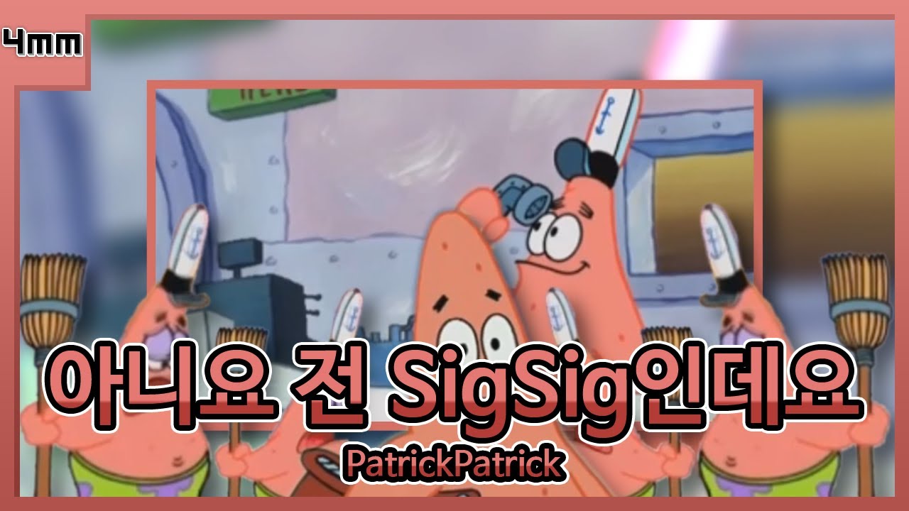 아니요 전 SigSig인데요 (PatrickPatrick)