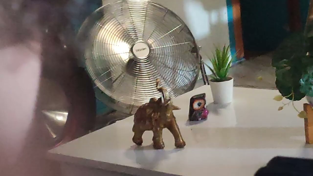 Estaba jugando con mi amiguito al roblox 