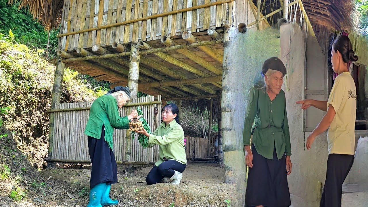 The mystery in the house is revealed. The unexpected meeting between the girl and the kind old woman
