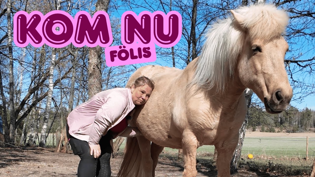 F&ouml;lvakar o &ouml;ppnar paket fr&aring;n H&ouml;&ouml;ks, B&ouml;rjes o PS of Sweden
