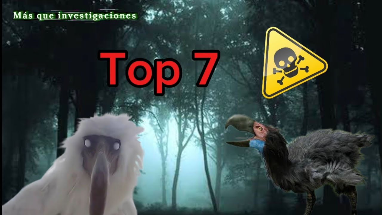 Top 7 cantos de aves más aterradores del mundo 🌎