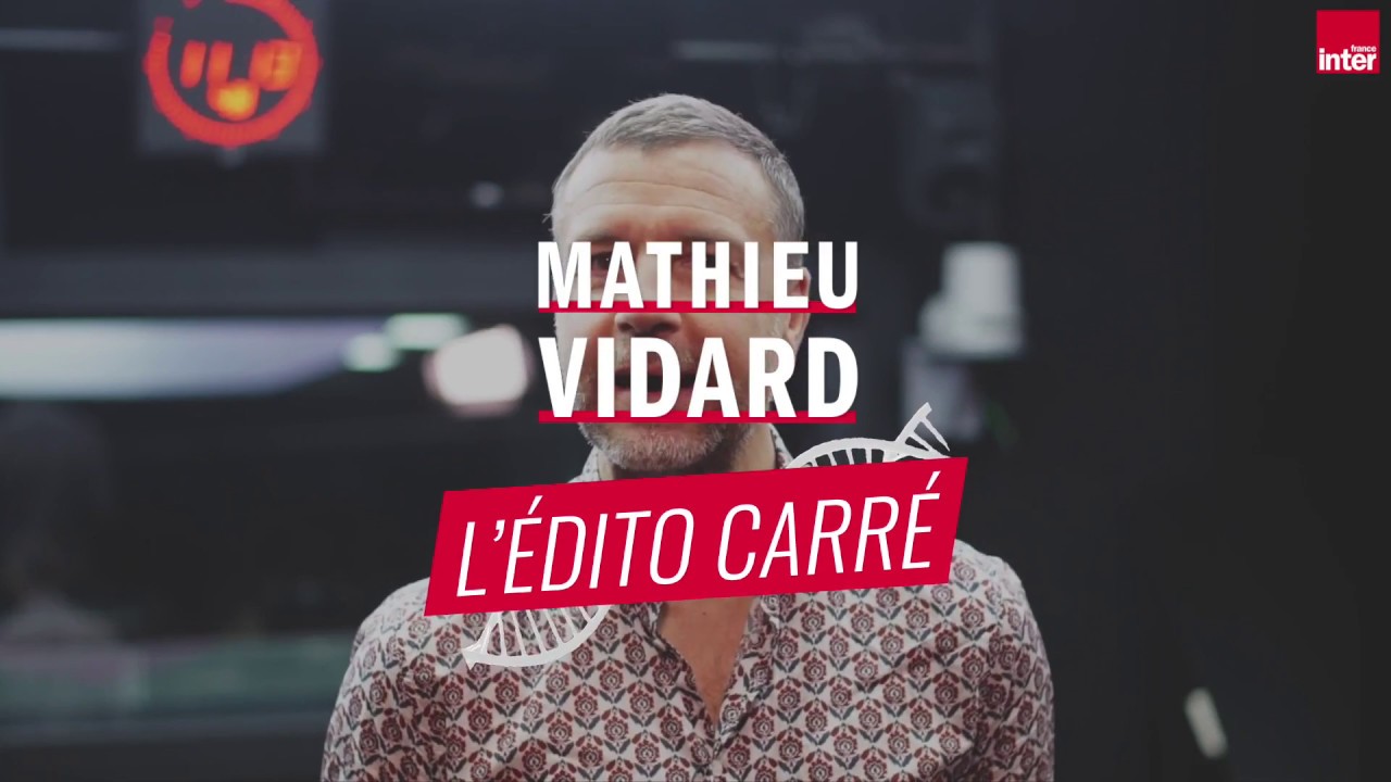 Putain, les abeilles ! L'Edito carr&eacute; de Mathieu Vidard