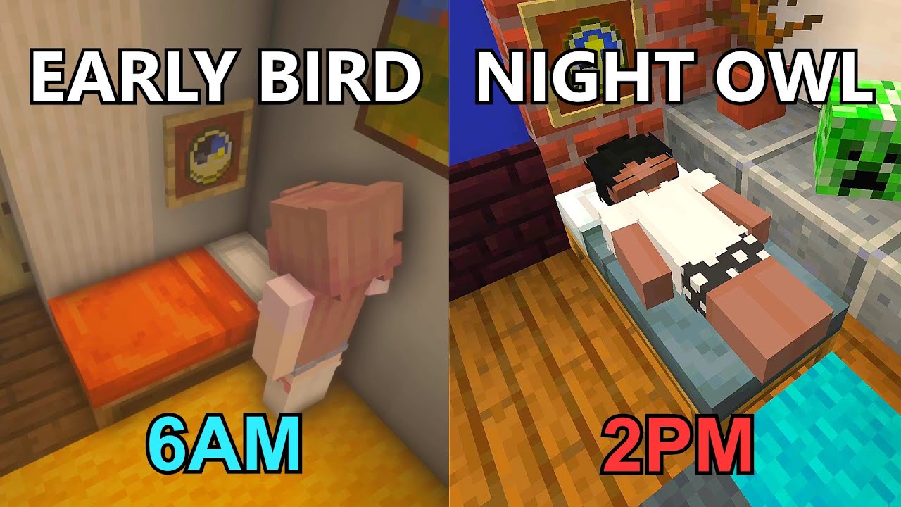 Early Bird VS Night Owl Portrayed by Minecraft