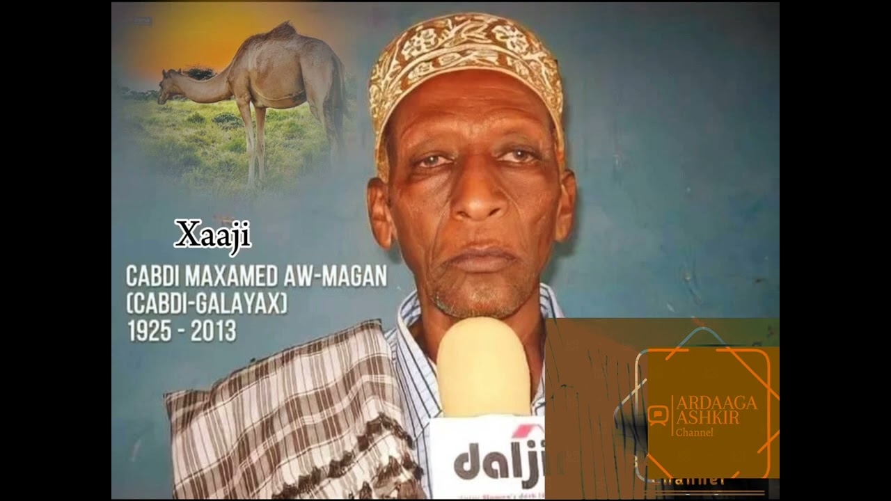 #abwaan Cabdi Muxammed Awmagan (Cabdi-Galayax) iyo gabayo goosgoos ah. #Galayax #Cabdi galayax