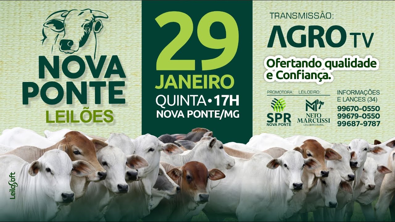NOVA PONTE LEILÕES - 29/01/2026