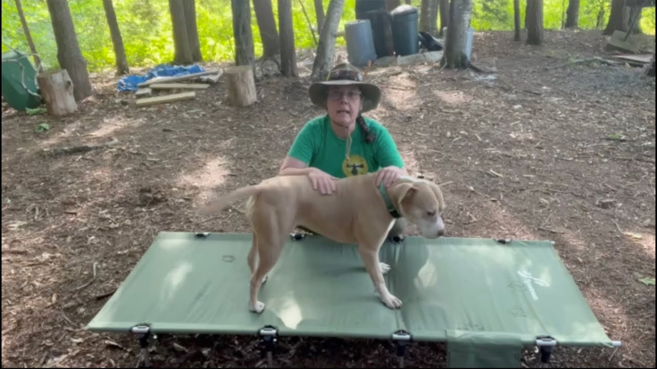 Review of Sportneer Camping Cot