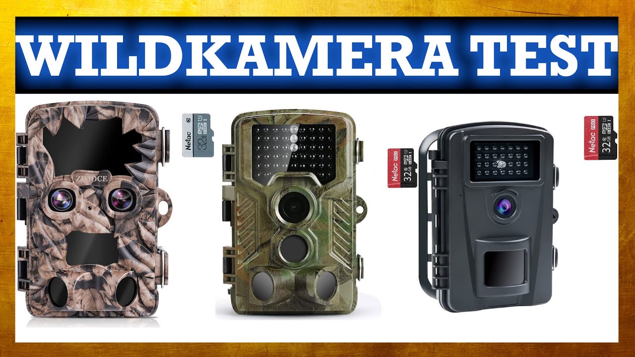 ▶ Wildkamera Test 2025 &loz; TOP 3 Wildkameras in einem Video