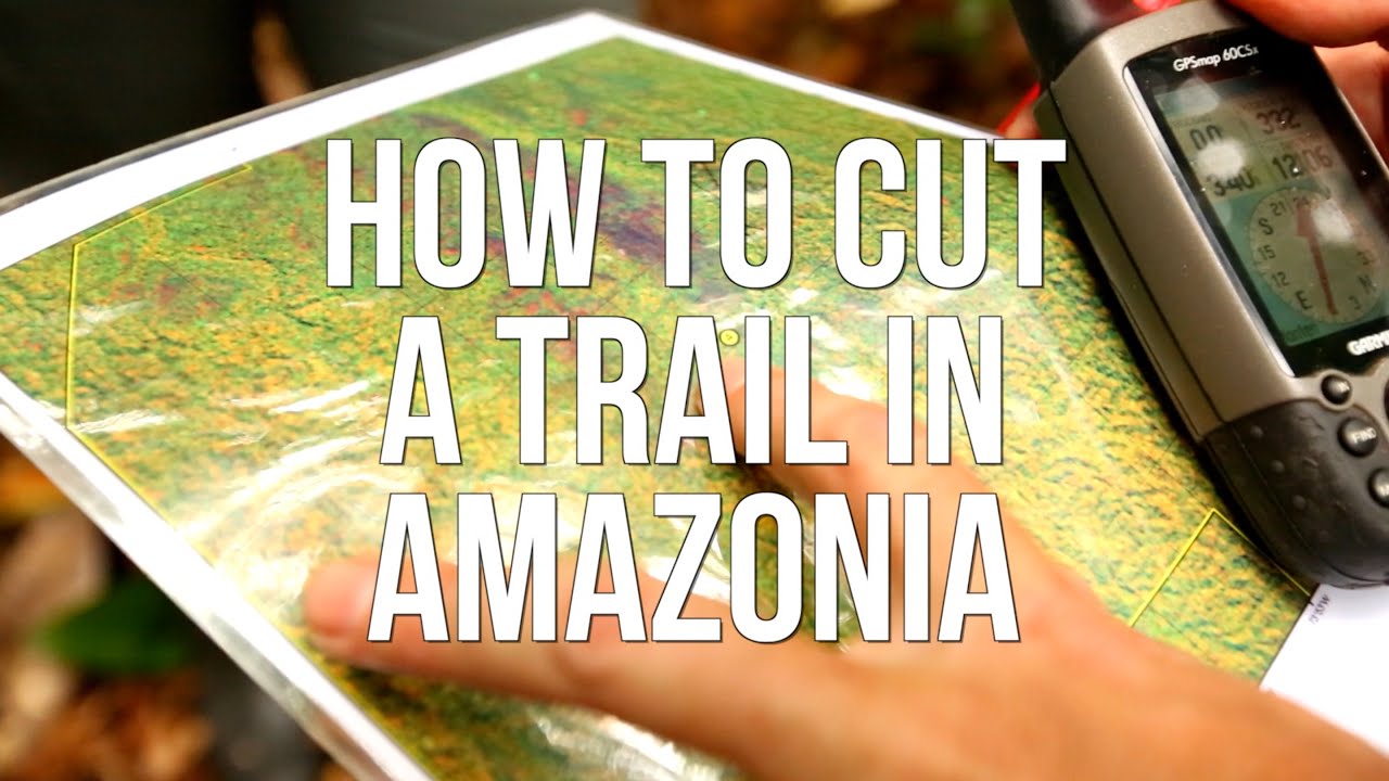 How to Cut a Trail in Amazonia